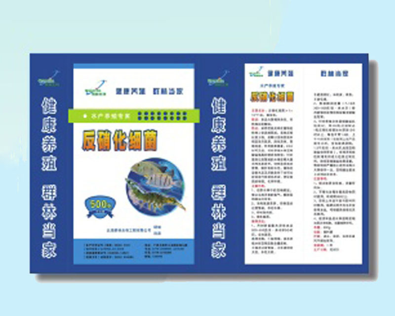 反硝化细菌