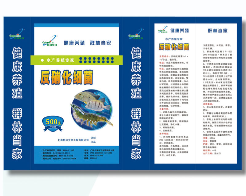 反硝化细菌